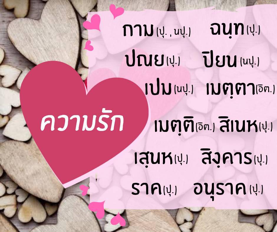 My Image 29